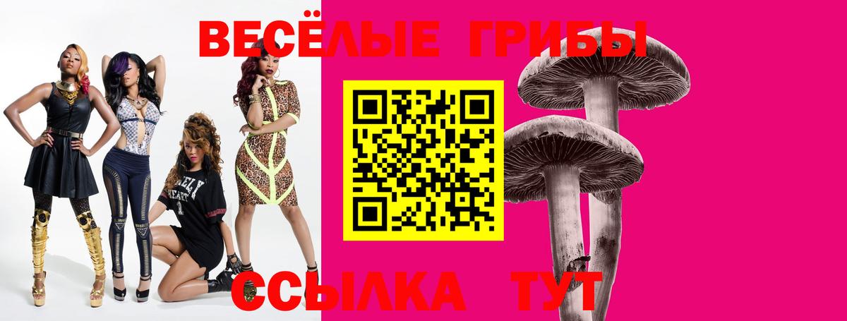 Тихвин  Псилоцибиновые грибы прущие грибы  Вход с VPN 